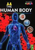 Fascinating Facts: The Human Body