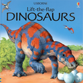 Usborne Lift the Flap Dinosaurs